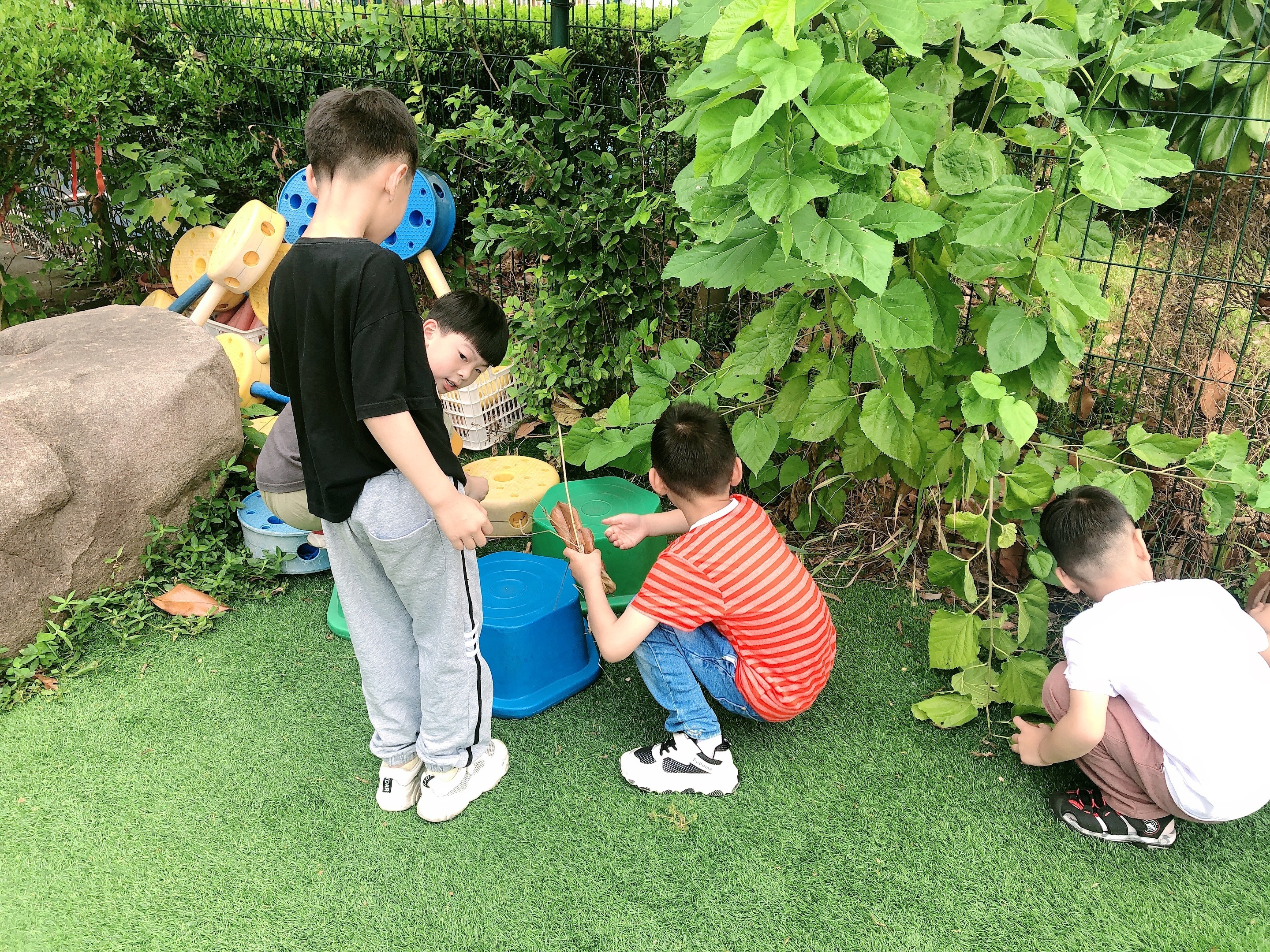 涉及水果、蔬菜、主食！江西新一批团体标准发布！