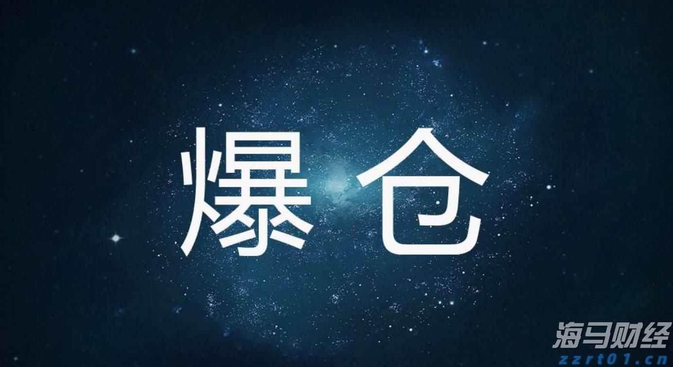 在“行走的课堂”里解锁文化密码