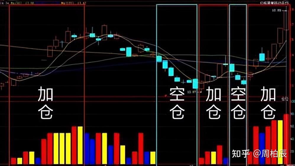 近4700万尾鱼虾苗入海！黄茅海跨海通道项目珠海侧开展生态补偿放流