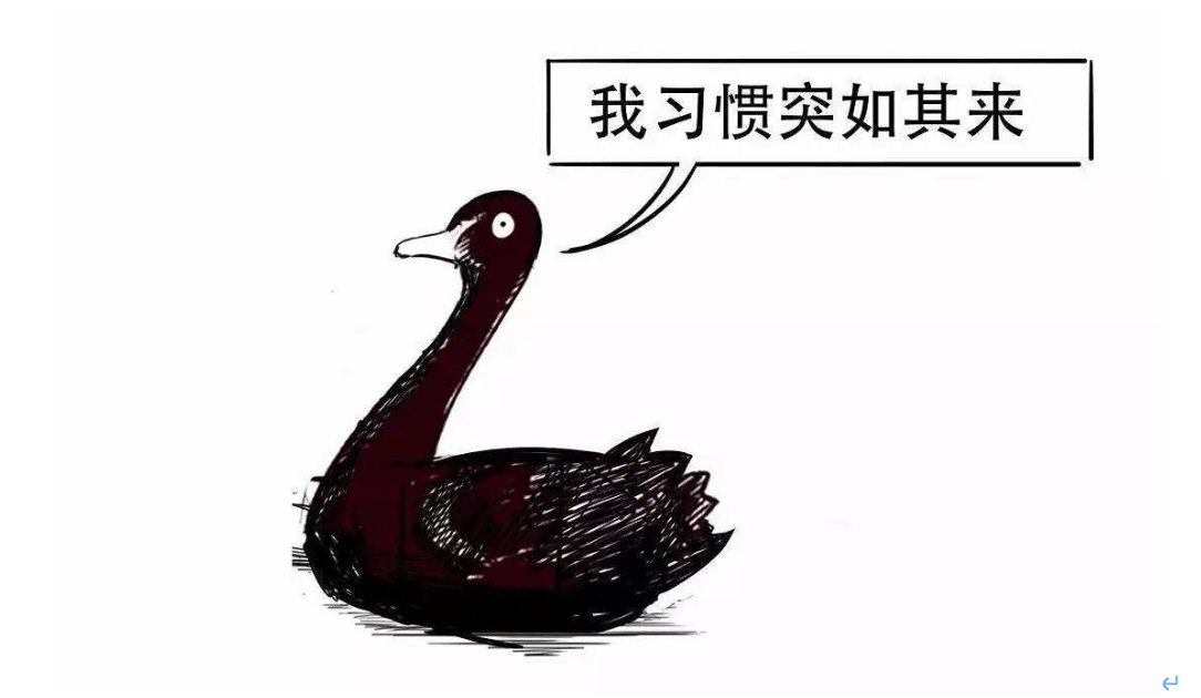 浔郁春光好 田间育苗忙