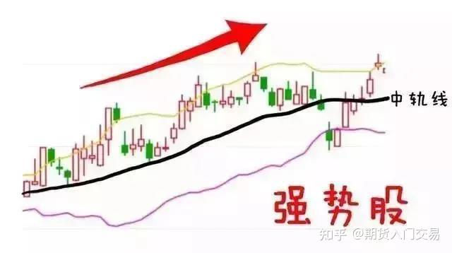 欧央行执委Cipollone：当前经济面临“复杂信号” 降息决策需更明确指引