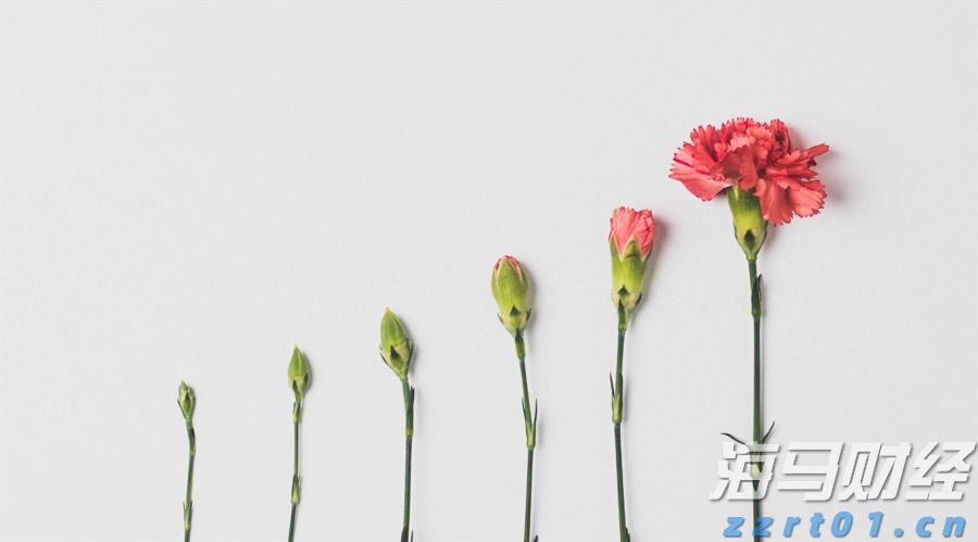 朱会东到重点企业走访慰问